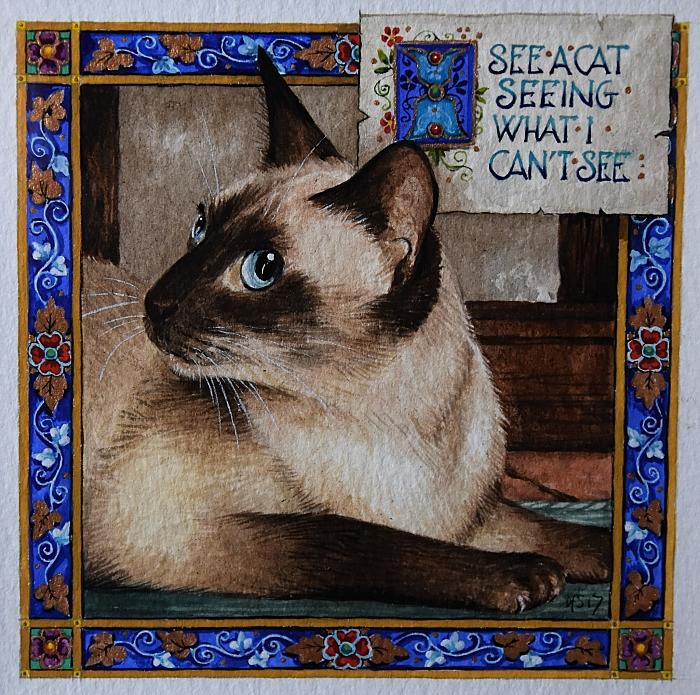 'I see a cat' Watercolour by Debby Faulkner-Stevens