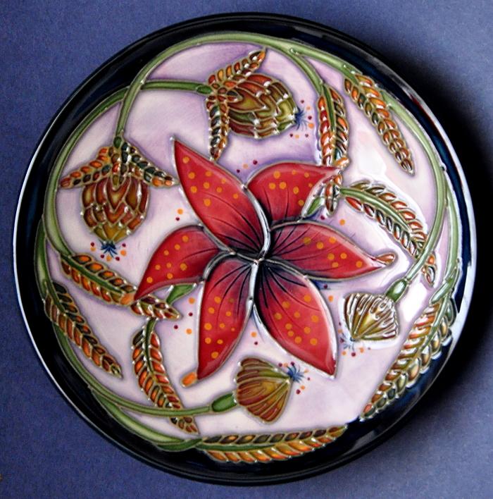 Moorcroft Pottery Delonix 780/4 Shirley Hayes